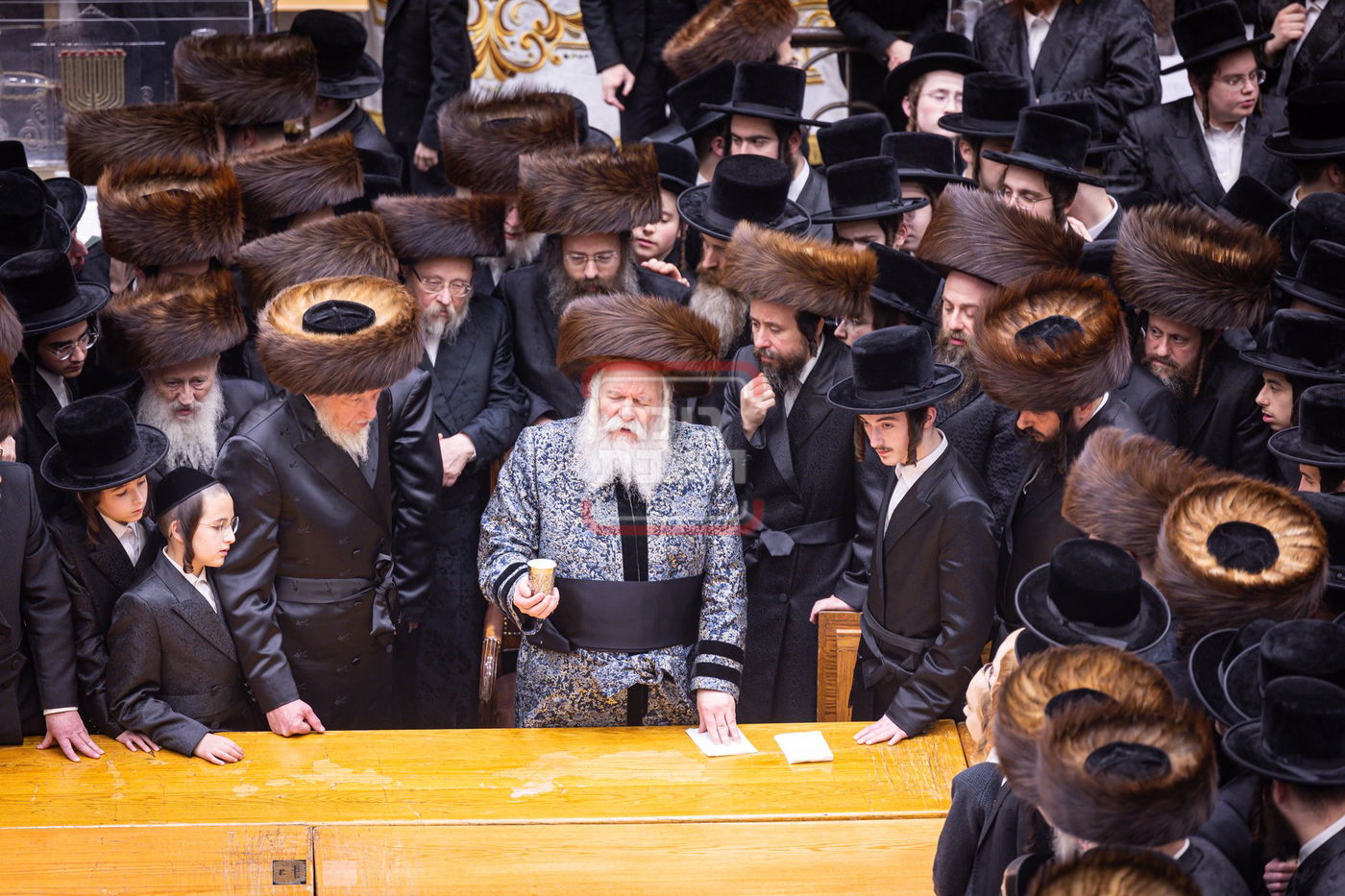 חג הפסח בחצה"ק באבוב