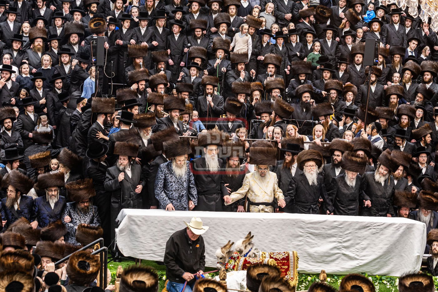 מעמד פדיון פטר חמור בסאטמר בהשתתפות האדמו"ר מסערדאהעלי