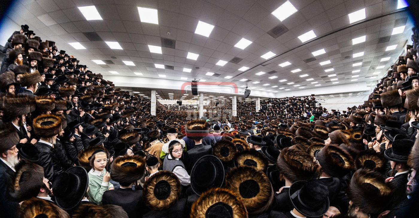 מעמד פדיון פטר חמור בסאטמר בהשתתפות האדמו"ר מסערדאהעלי