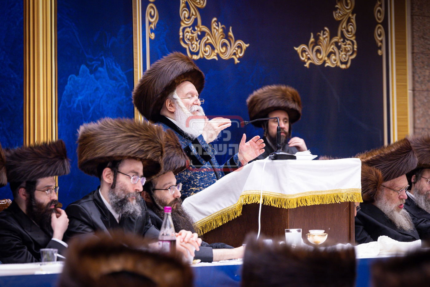 חג הפסח בחצה"ק באבוב