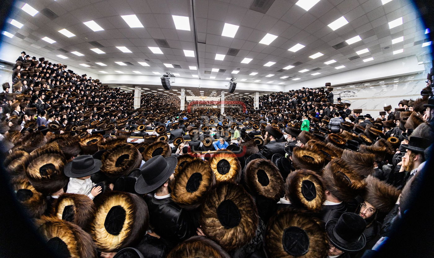 מעמד פדיון פטר חמור בסאטמר בהשתתפות האדמו"ר מסערדאהעלי