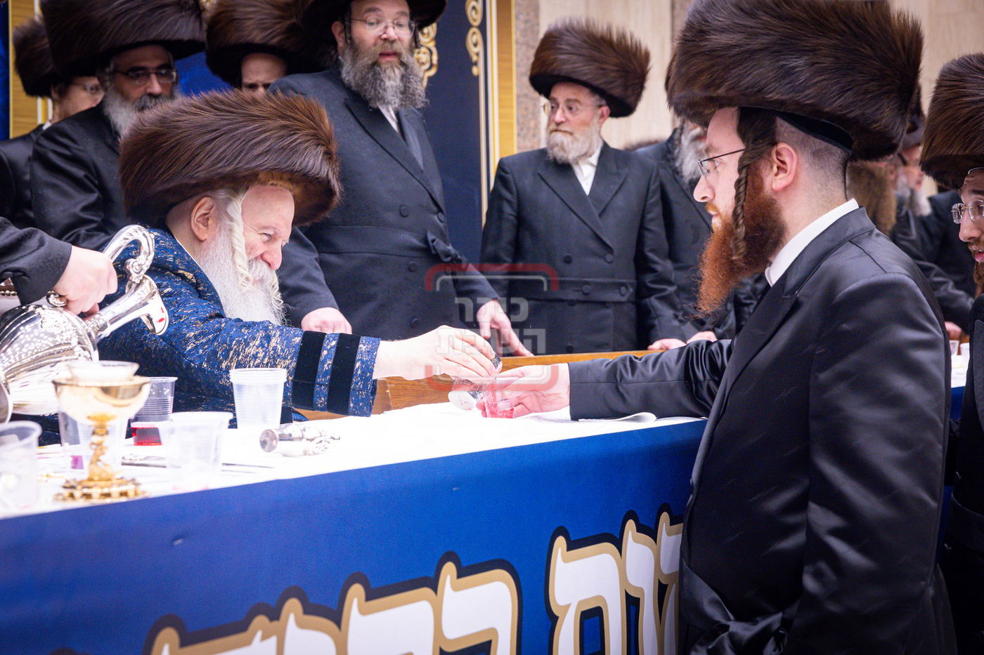 חג הפסח בחצה"ק באבוב