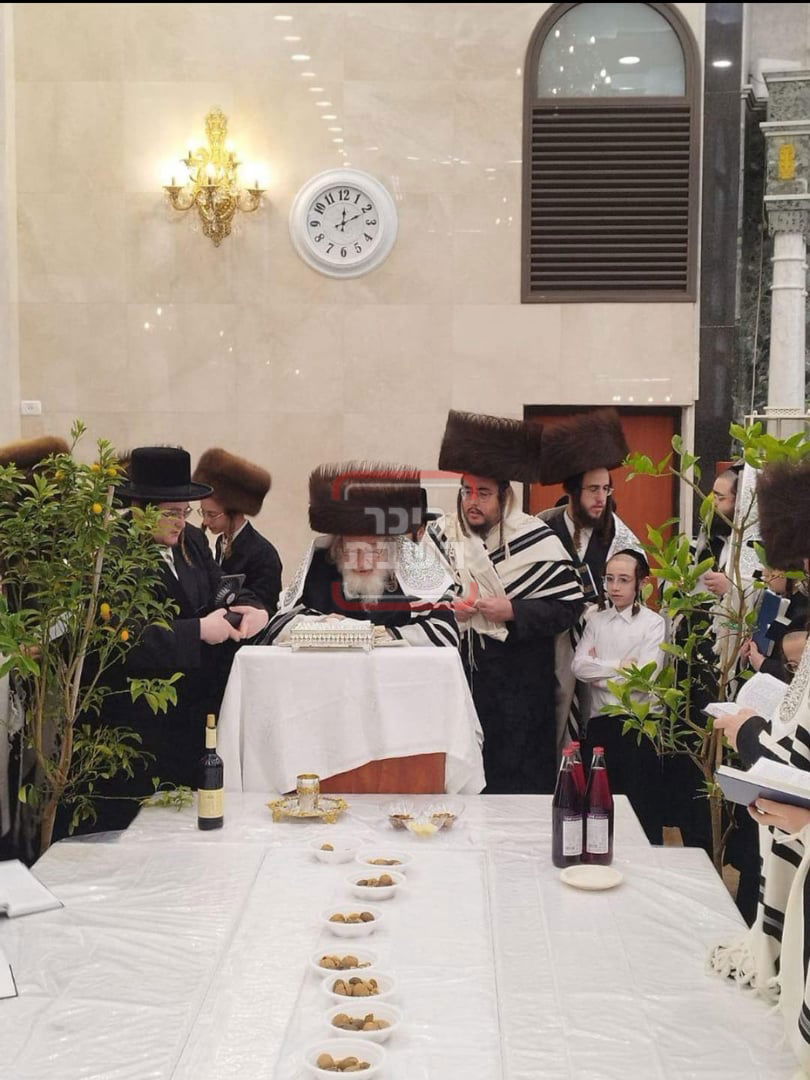 זופניק בכיכר | כל התמונות, הנייעס והחשיפות של פסח והמסתעף