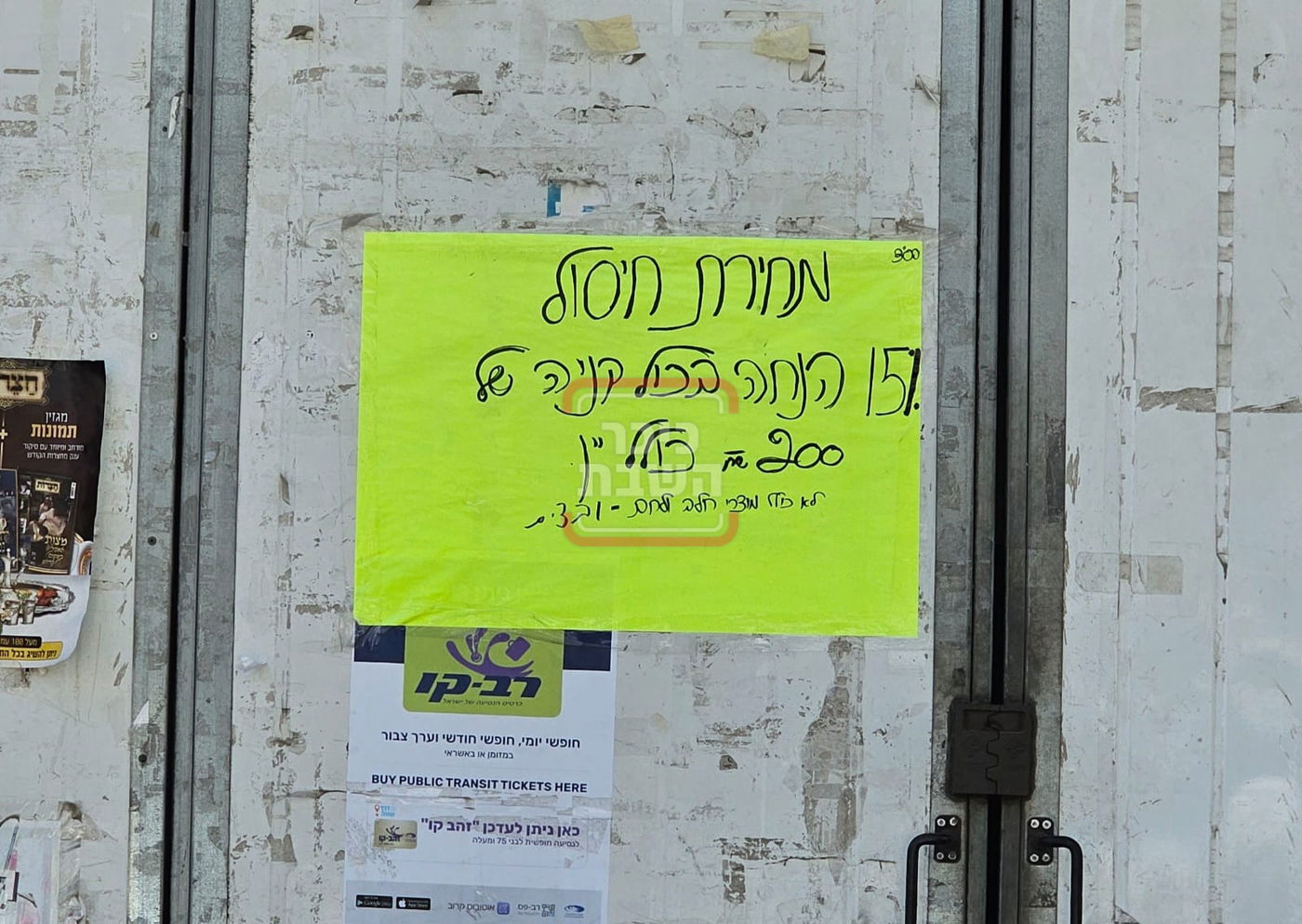 זופניק בכיכר | כל התמונות, הנייעס והחשיפות של פסח והמסתעף