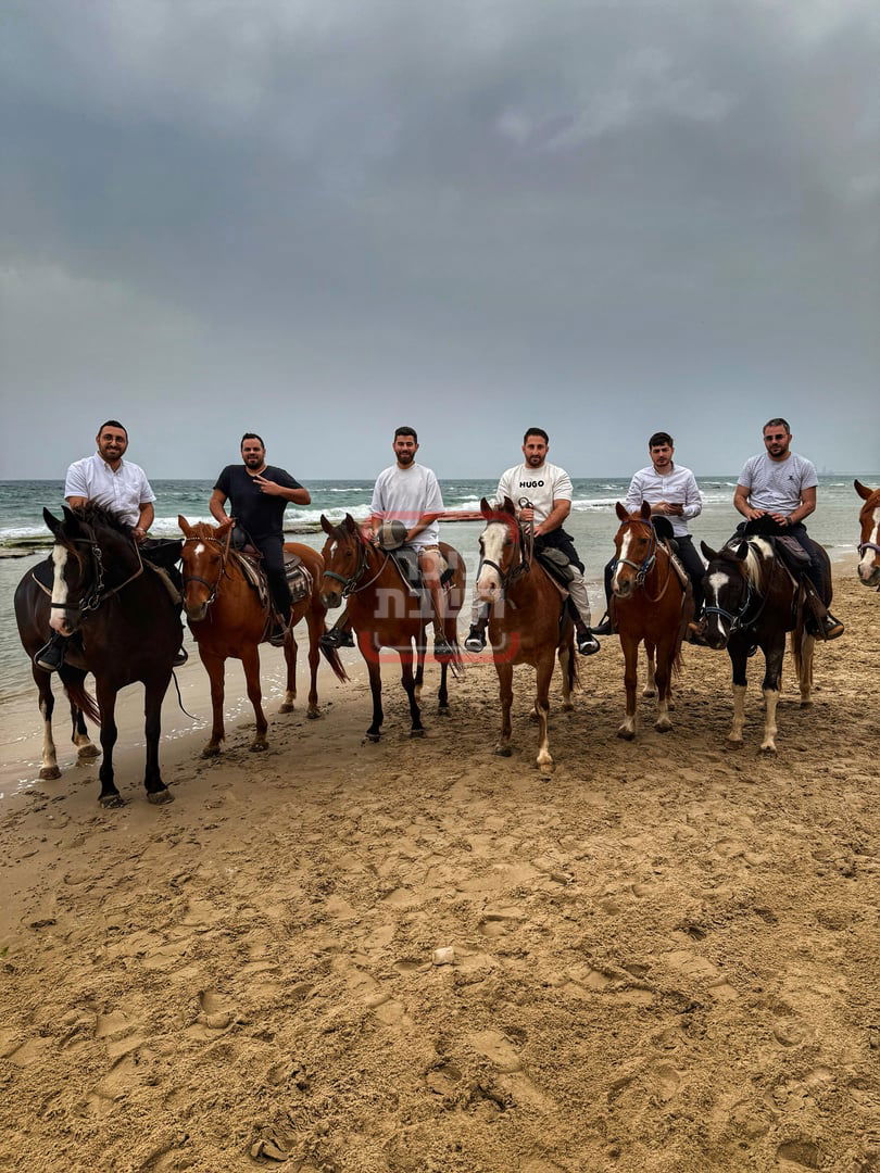 זופניק בכיכר | כל התמונות, הנייעס והחשיפות של השבוע