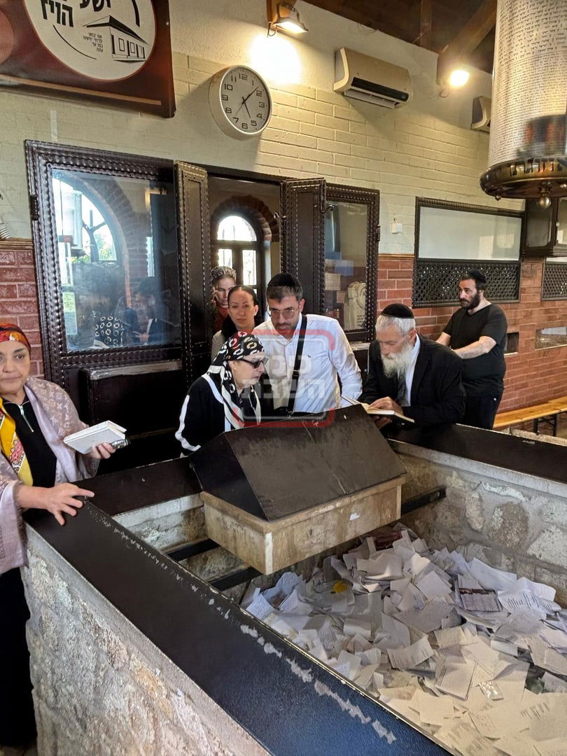 זופניק בכיכר | כל התמונות, הנייעס והחשיפות של השבוע