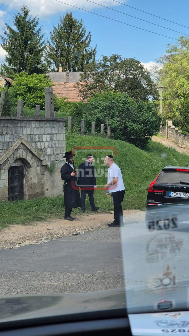 זופניק בכיכר | כל התמונות, הנייעס והחשיפות של השבוע