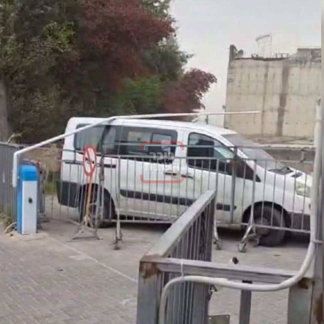 זופניק בכיכר | כל התמונות, הנייעס והחשיפות של השבוע