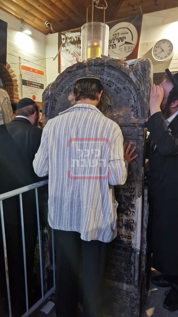 זופניק בכיכר | כל התמונות, הנייעס והחשיפות של השבוע