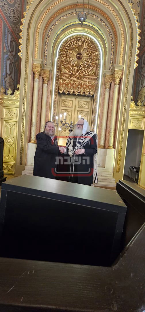 זופניק בכיכר | כל התמונות, הנייעס והחשיפות של השבוע