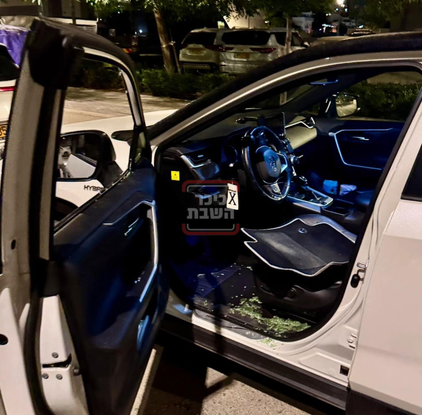 זופניק בכיכר | כל התמונות, הנייעס והחשיפות של השבוע