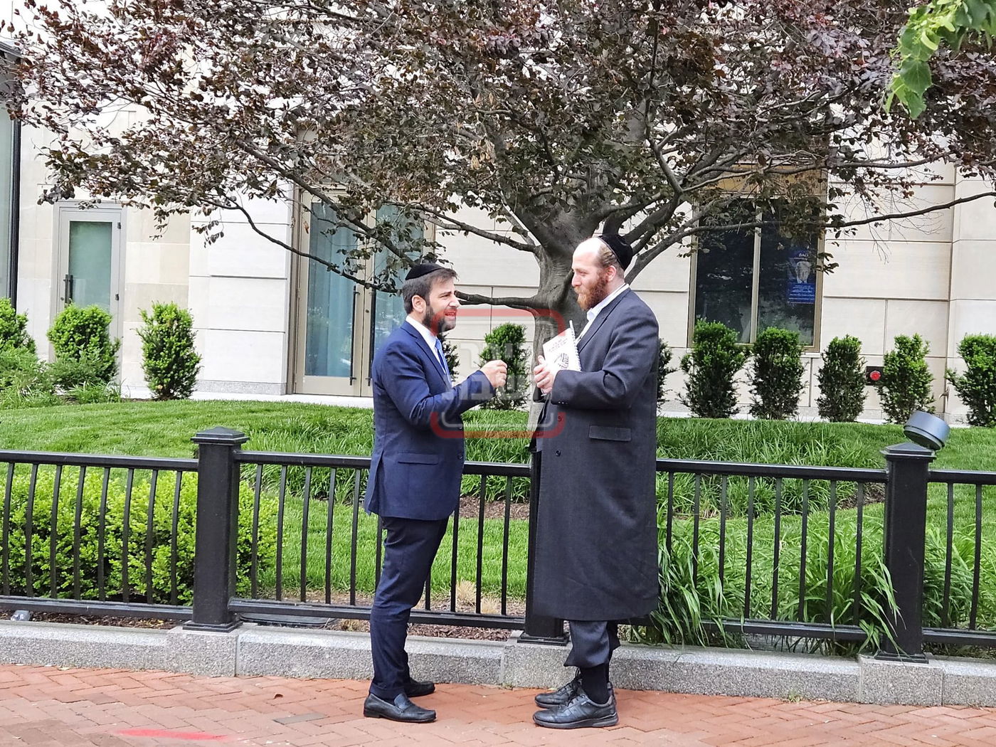 זופניק בכיכר | כל התמונות, הנייעס והחשיפות של השבוע