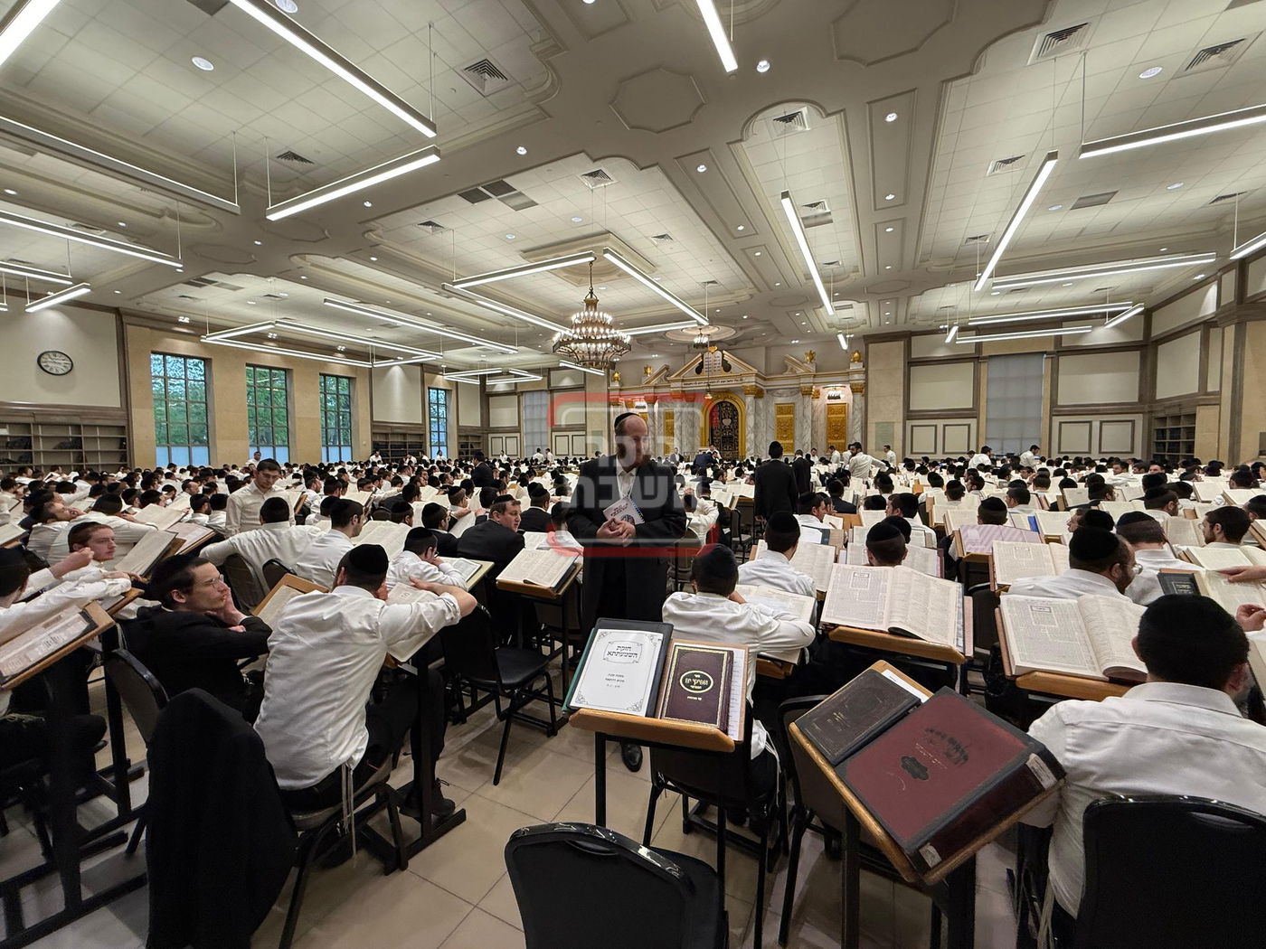 זופניק בכיכר | כל התמונות, הנייעס והחשיפות של השבוע