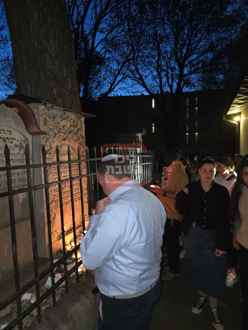 זופניק בכיכר | כל התמונות, הנייעס והחשיפות של השבוע