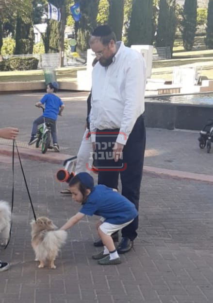 זופניק בכיכר | כל התמונות, הנייעס והחשיפות של השבוע