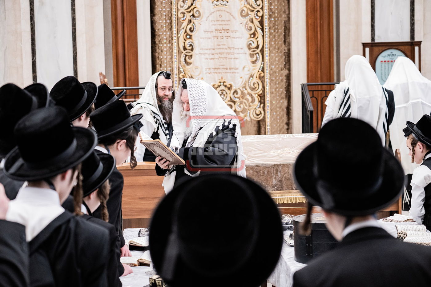 האדמו"ר מבאבוב בתפילת שחרית במונסי