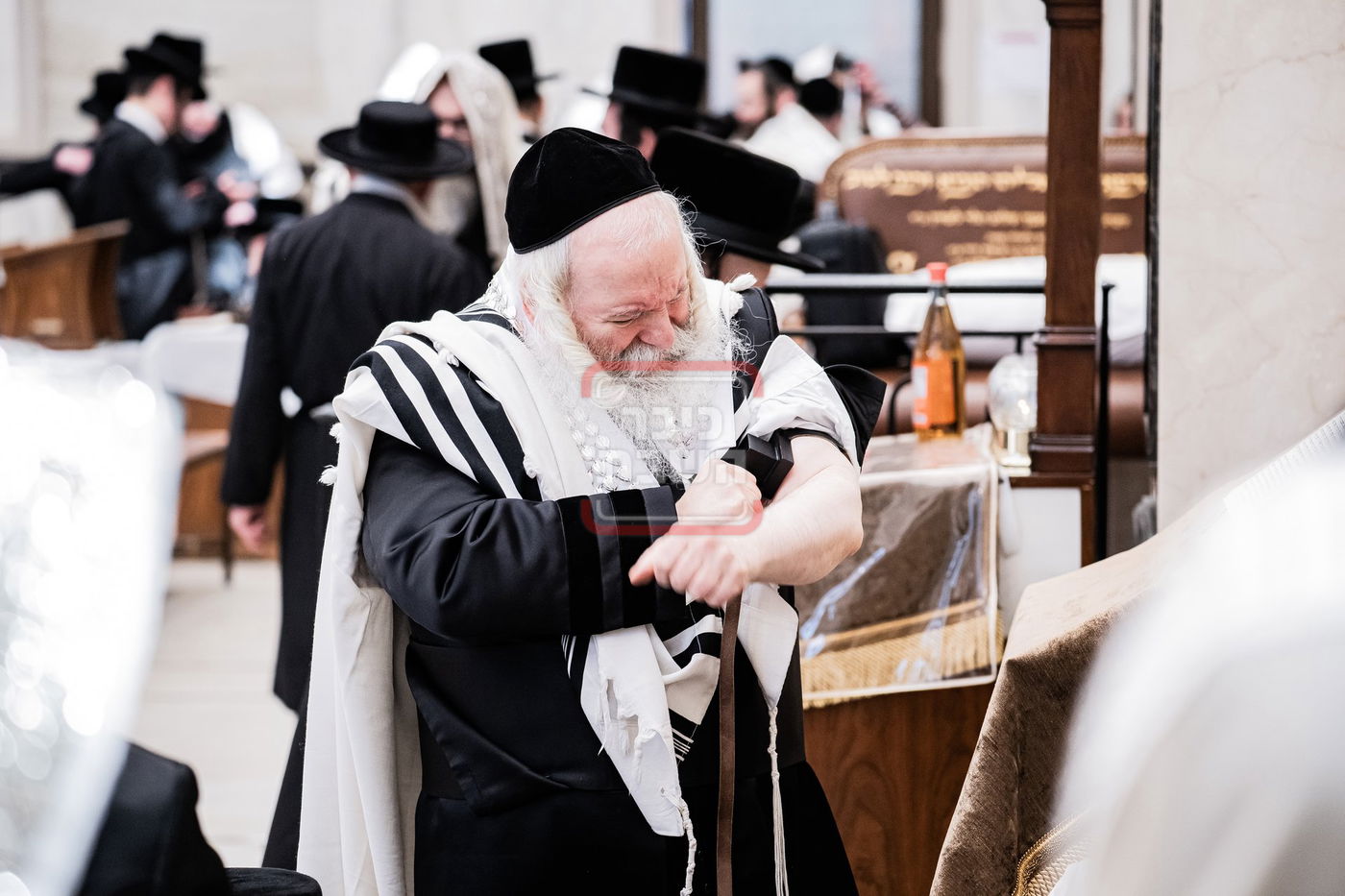האדמו"ר מבאבוב בהנחת תפילין דר"ת במונסי