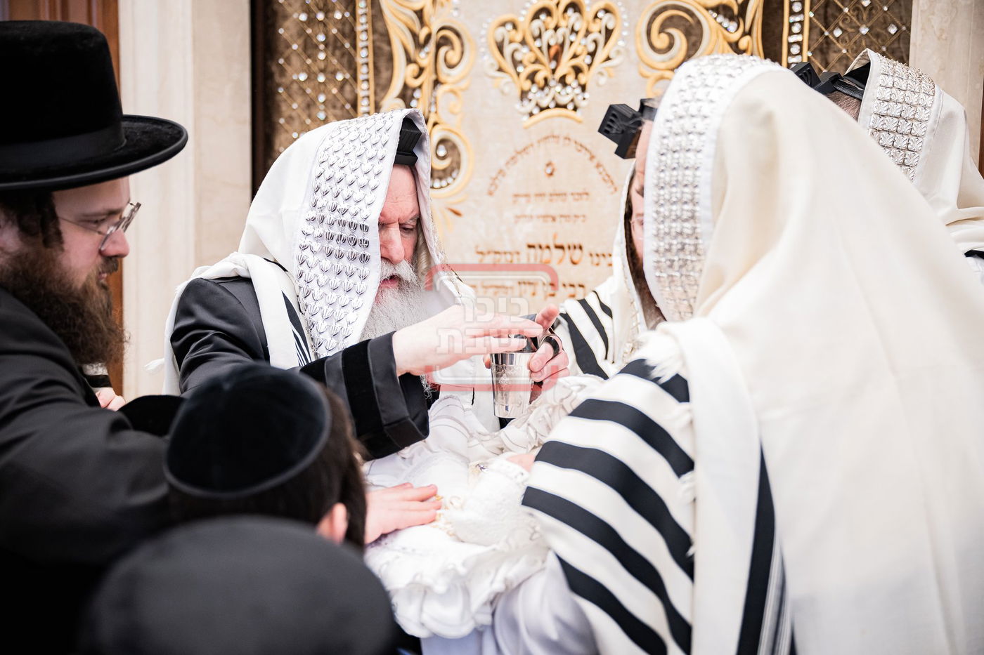 האדמו"ר מבאבוב בסנדקאות במונסי