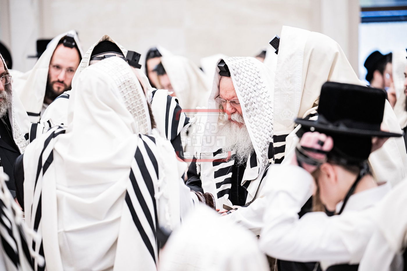 האדמו"ר מבאבוב בעליה לתורה במונסי