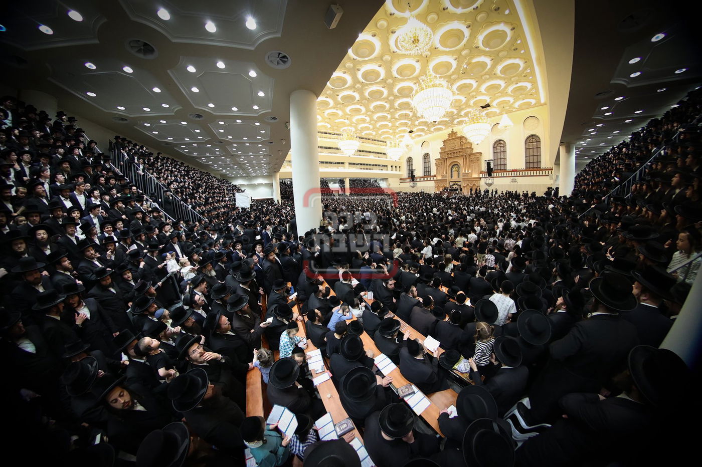 ל"ג בעומר תשפ"ה בחצה"ק ויז'ניץ