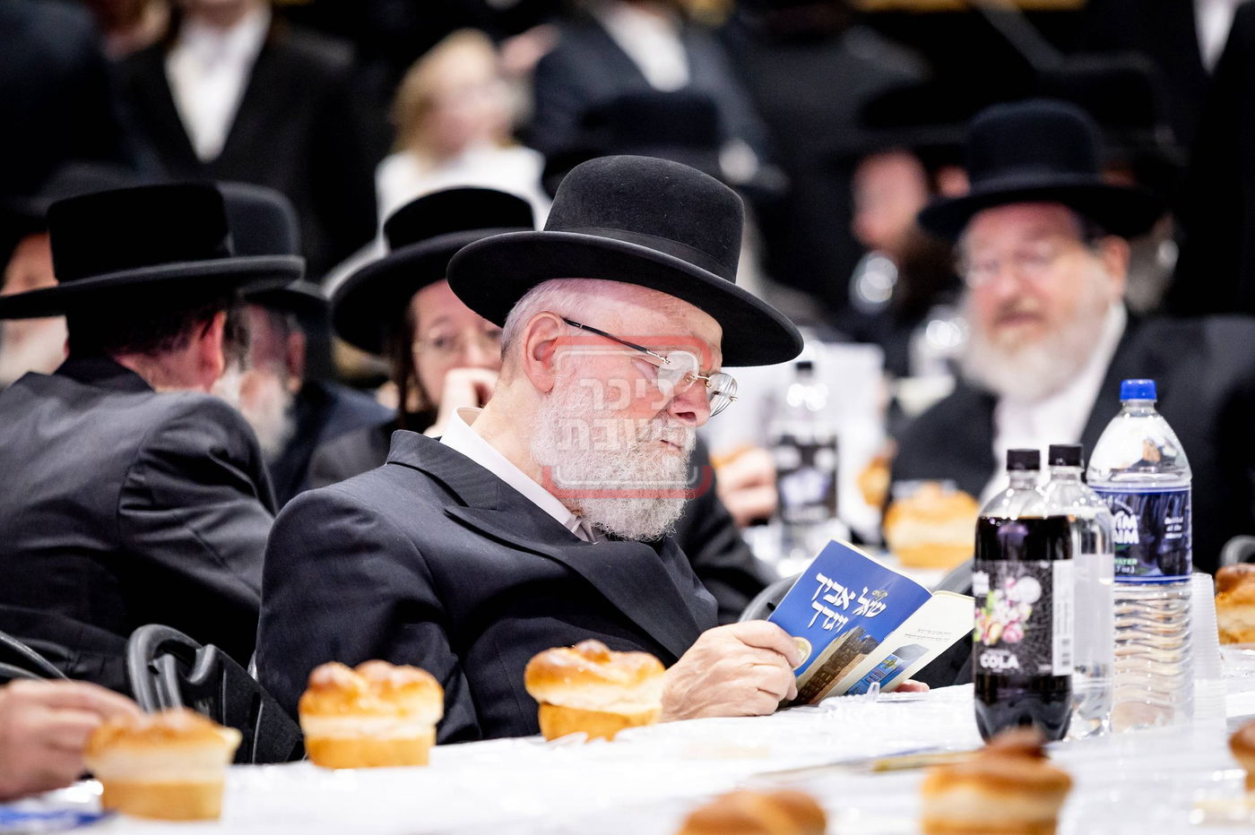 ל"ג בעומר בחצה"ק סאטמר