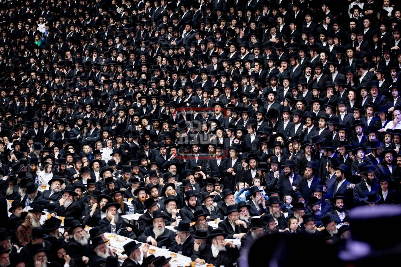 ל"ג בעומר בחצה"ק סאטמר