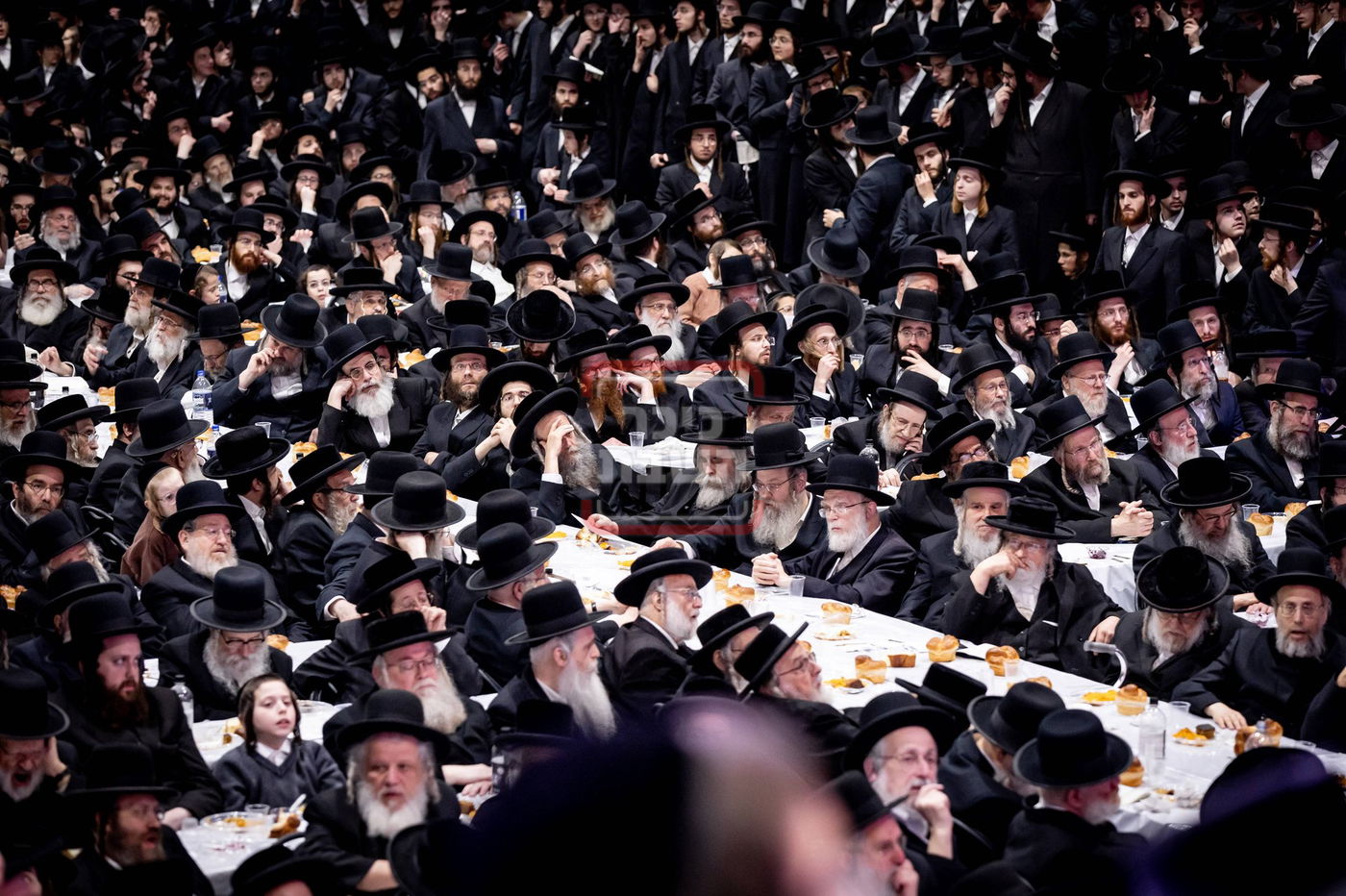 ל"ג בעומר בחצה"ק סאטמר