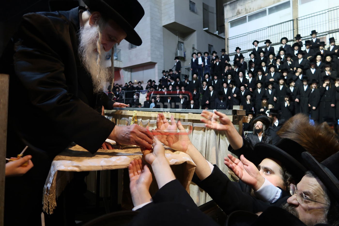 ל"ג בעומר בחצה"ק מחנובקה בעלזא