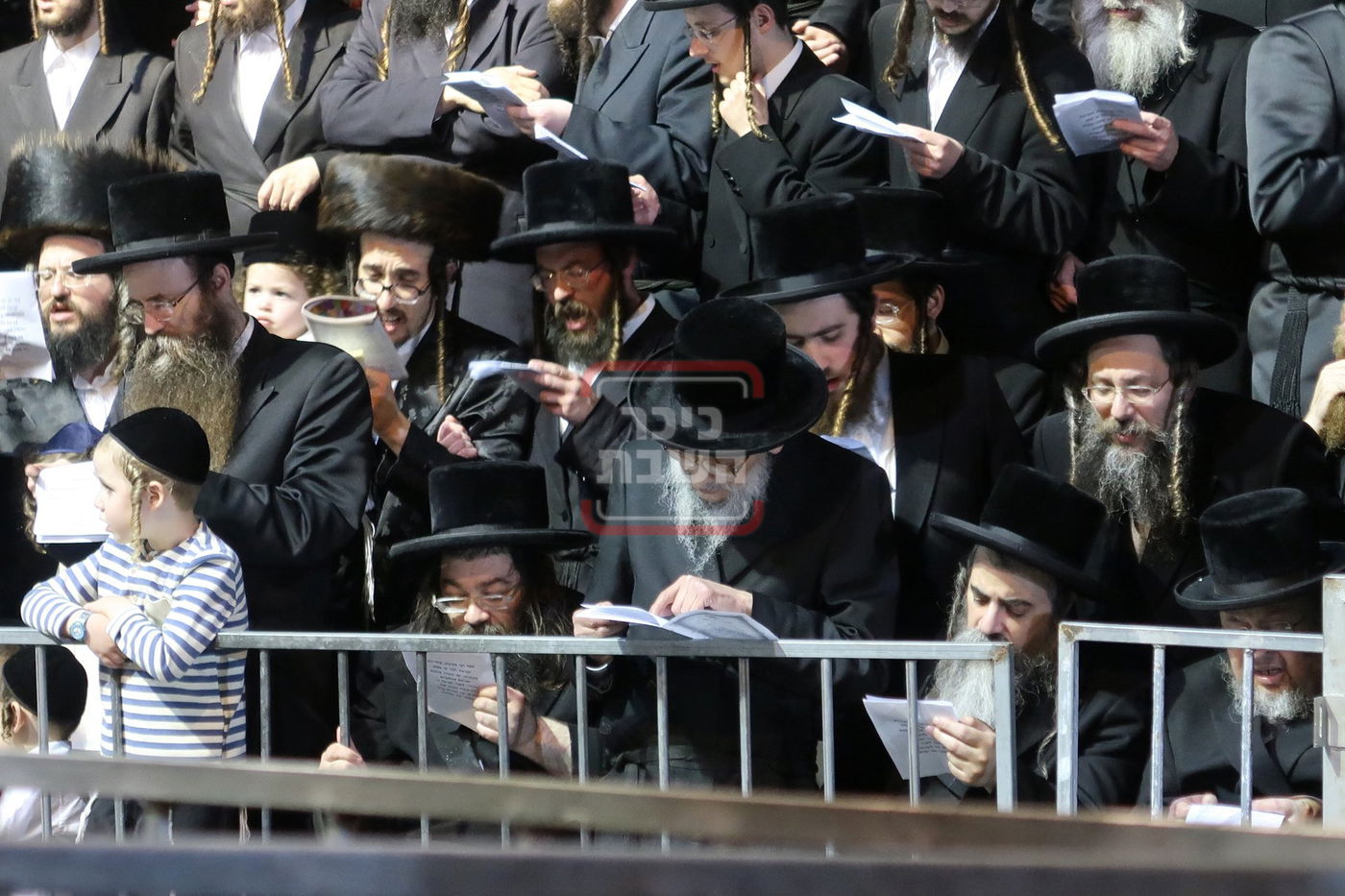 ל"ג בעומר בחצה"ק מחנובקה בעלזא