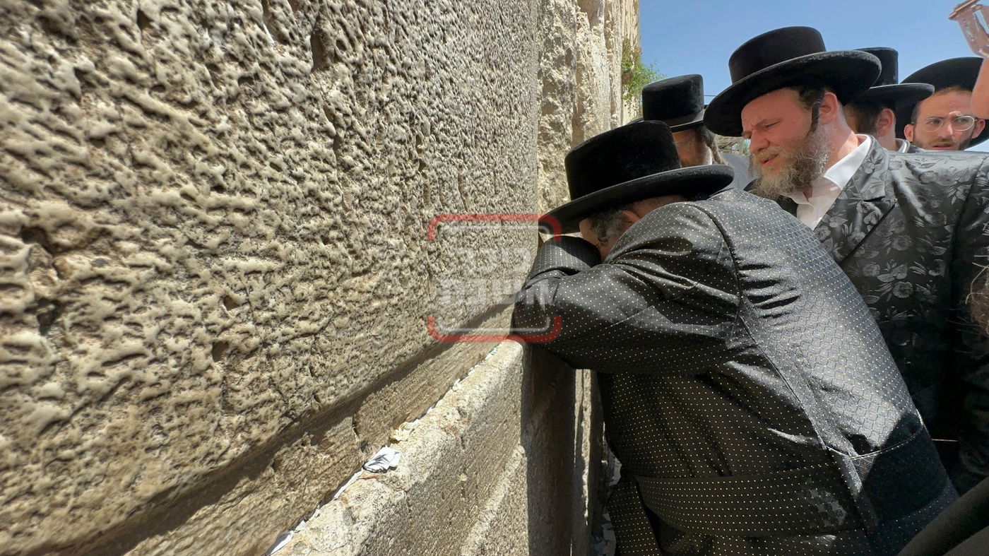 האדמו"ר מויז'ניץ בתפילה ברחבת הכותל המערבי