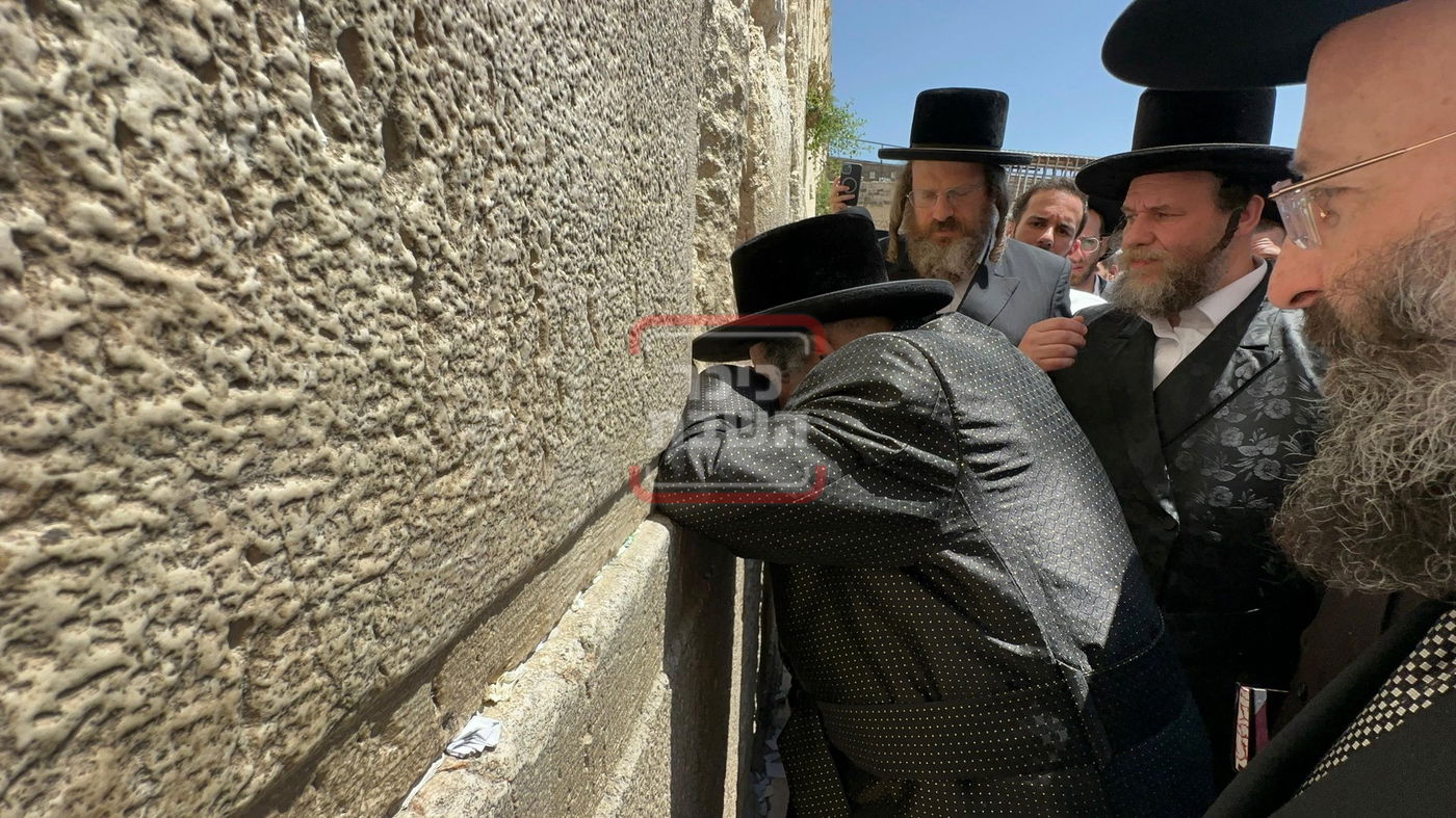 האדמו"ר מויז'ניץ בתפילה ברחבת הכותל המערבי