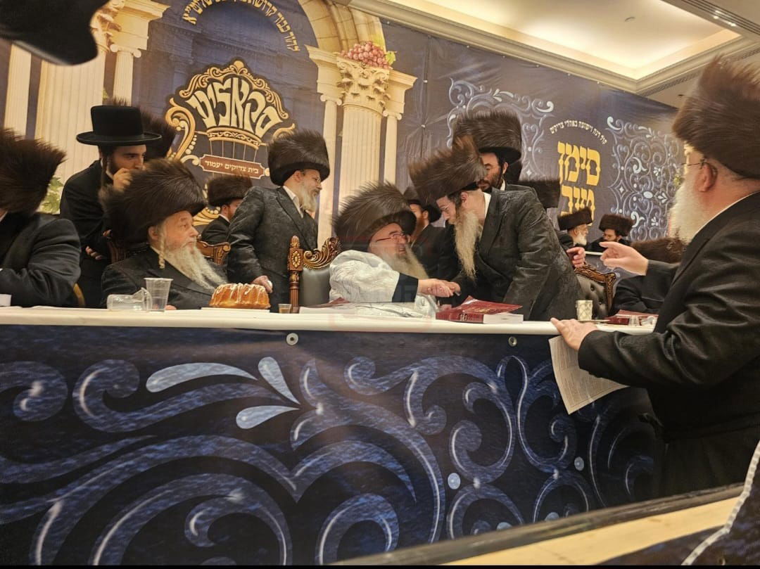 זופניק בכיכר | כל התמונות, הנייעס והחשיפות של השבוע שאסור לכם לפספס