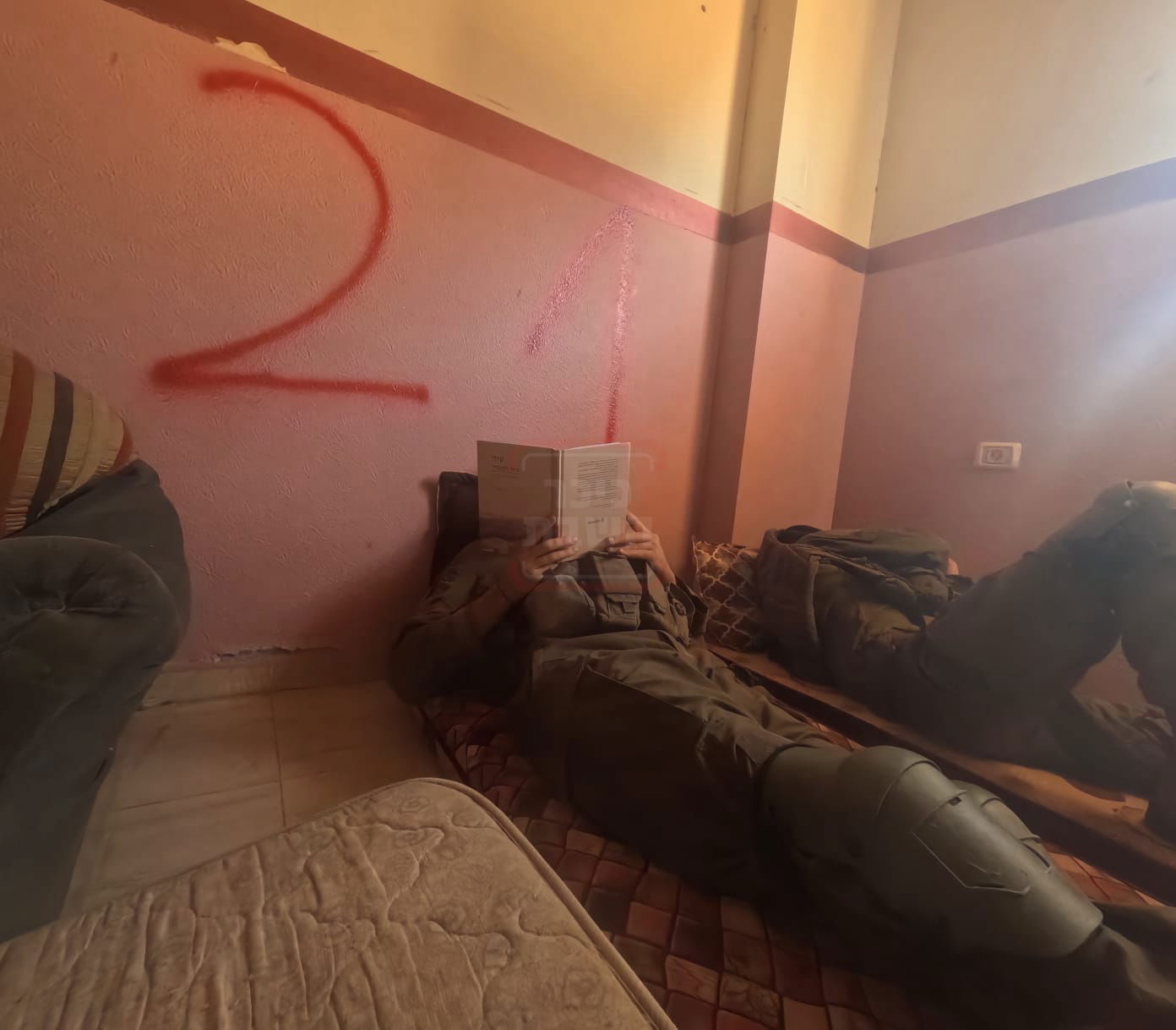 זופניק בכיכר | כל התמונות, הנייעס והחשיפות של השבוע שאסור לכם לפספס