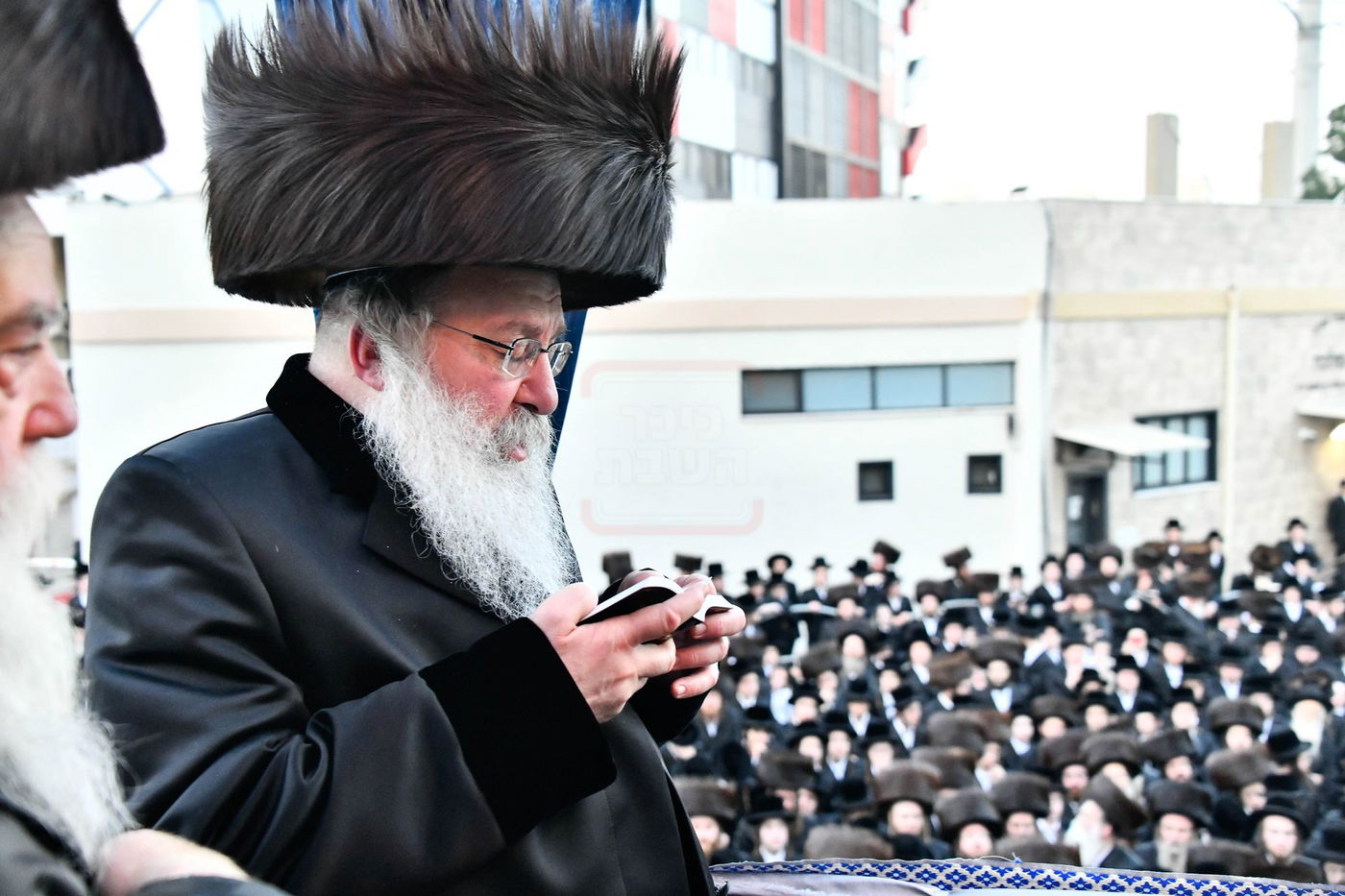 שמחת בית נדבורנה - קאסוב ויז'ניץ - ערלוי - האלמין