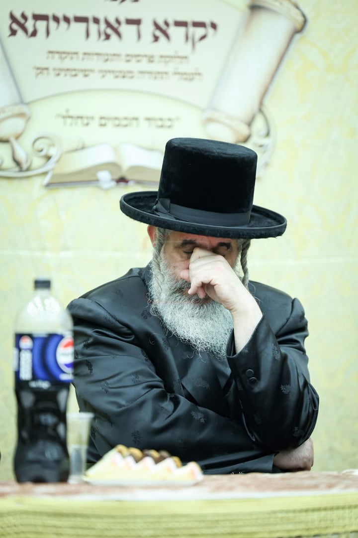 זופניק בכיכר | כל התמונות, הנייעס והחשיפות של השבוע שאסור לכם לפספס