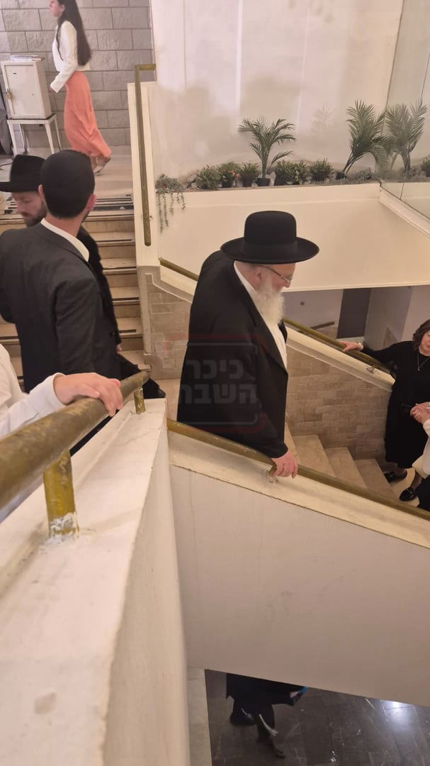 זופניק בכיכר | כל התמונות, הנייעס והחשיפות של השבוע שאסור לכם לפספס