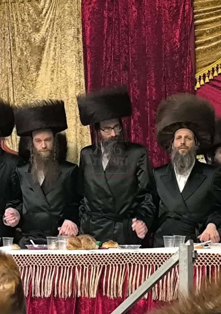 זופניק בכיכר | כל התמונות, הנייעס והחשיפות של השבוע שאסור לכם לפספס