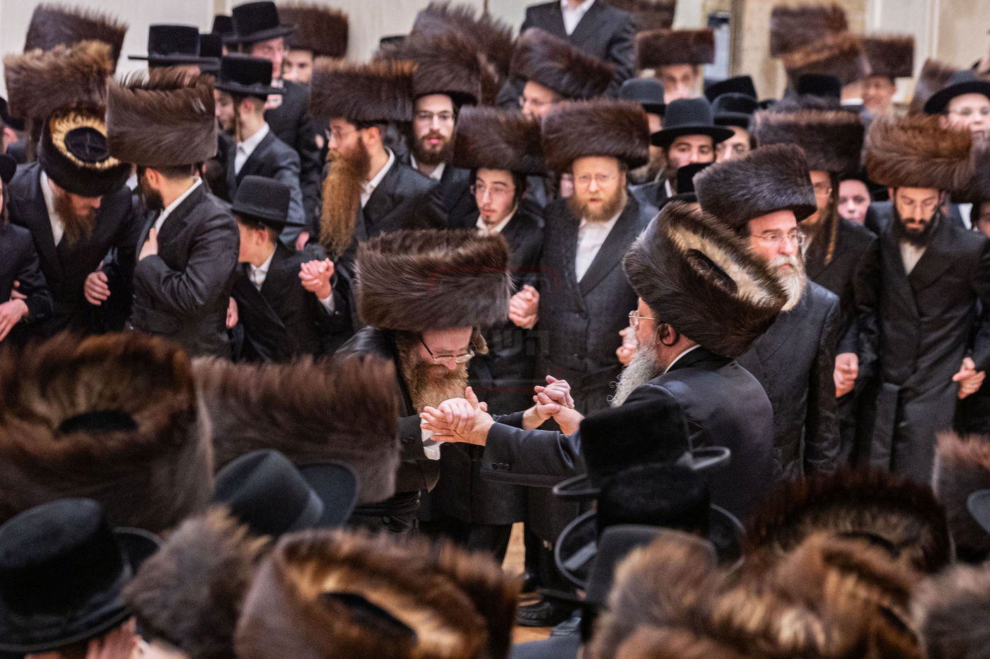 שמחת בית סערדאהעלי - אמונת ישראל - תולדות יהודה סטוטשין - שבט הלוי - גארליץ