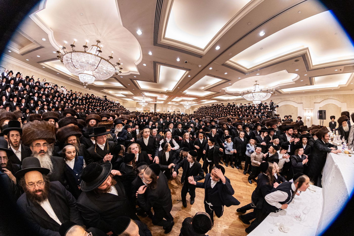 שמחת בית סערדאהעלי - אמונת ישראל - תולדות יהודה סטוטשין - שבט הלוי - גארליץ