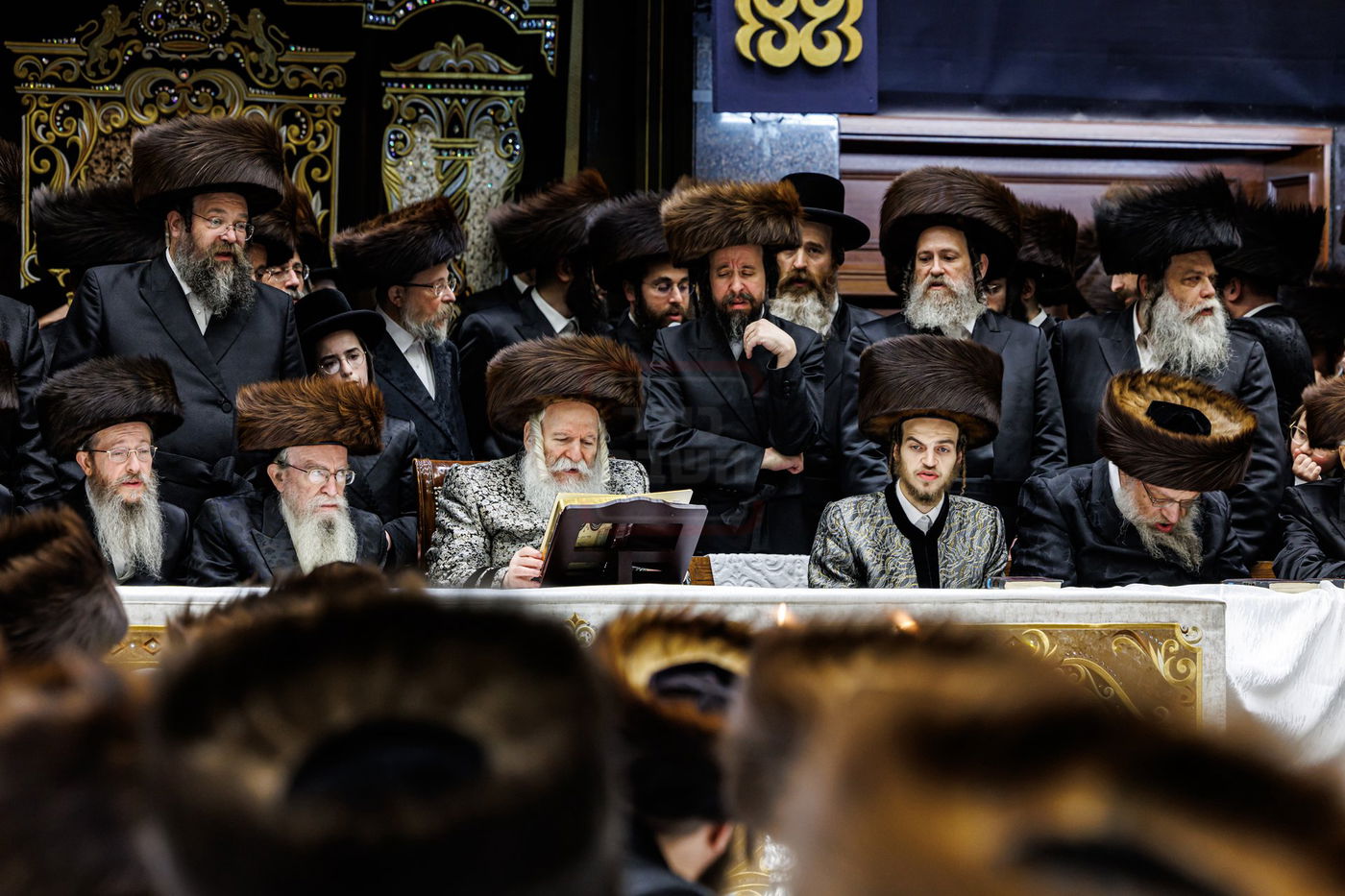 שמחת הפארשפיל לנכד האדמו"ר מבאבוב