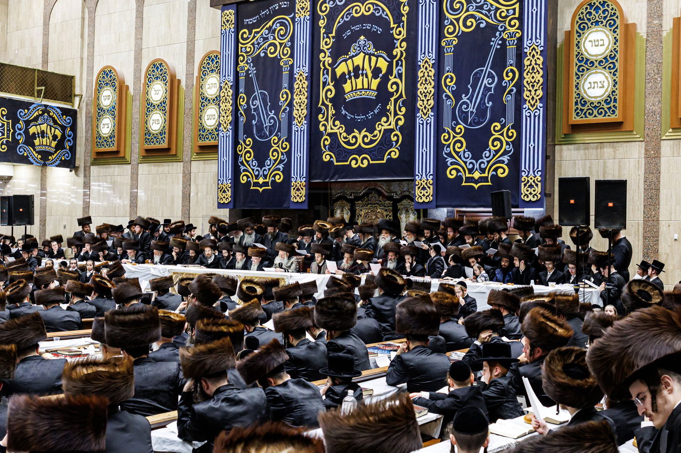 שמחת הפארשפיל לנכד האדמו"ר מבאבוב