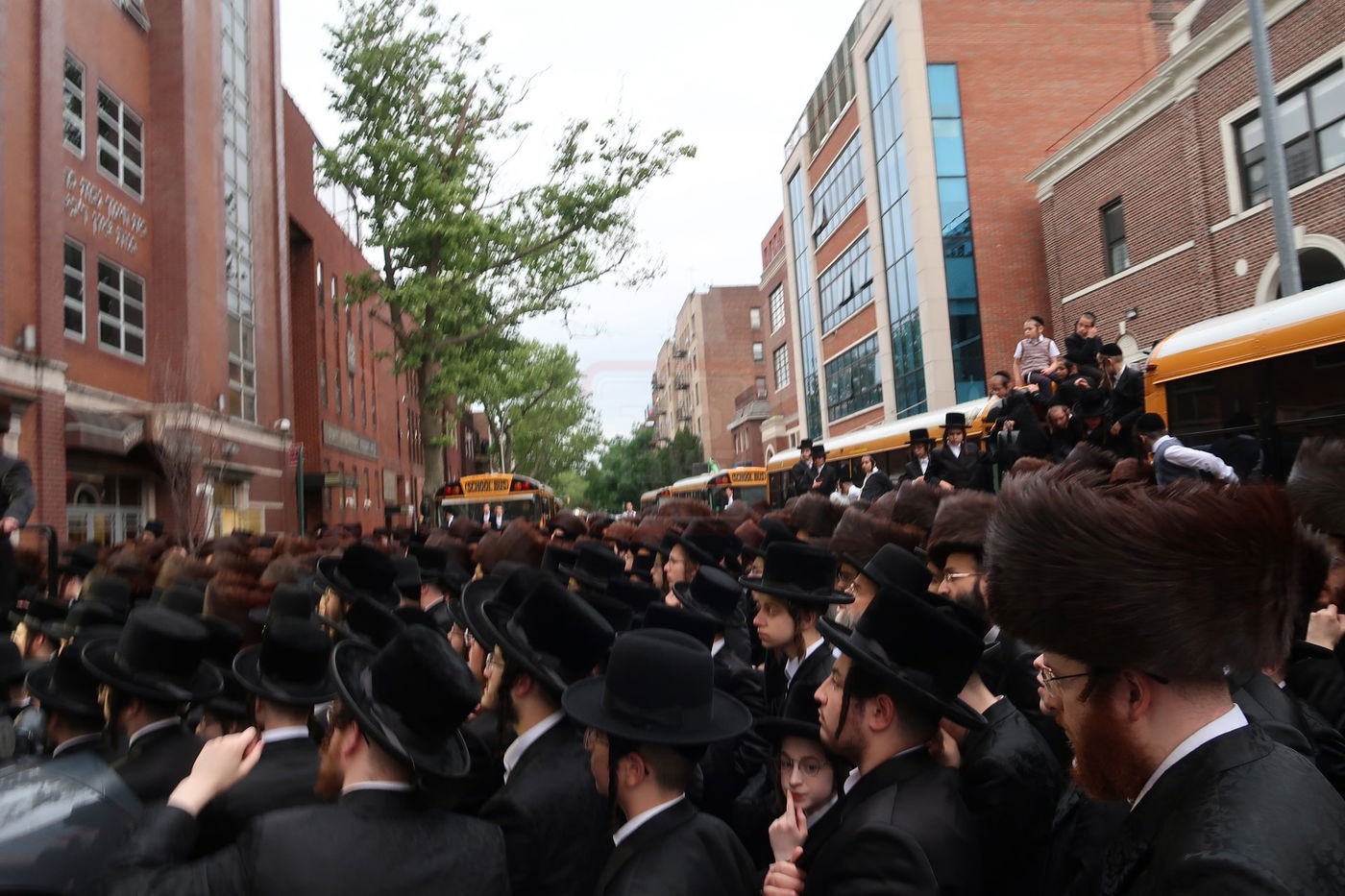 שמחת בית סערדאהעלי - אמונת ישראל - תולדות יהודה סטוטשין - שבט הלוי - גארליץ