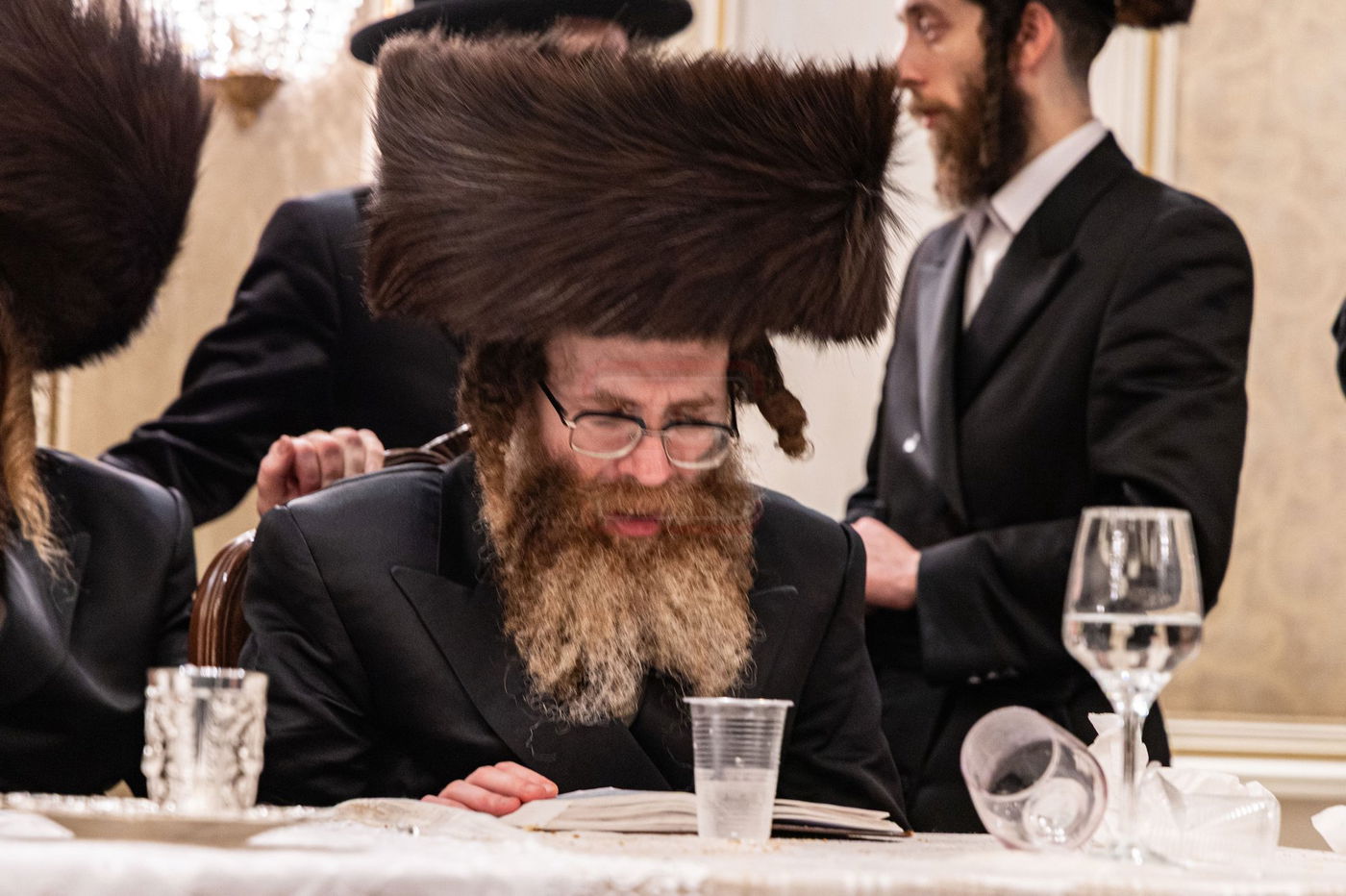 שמחת בית סערדאהעלי - אמונת ישראל - תולדות יהודה סטוטשין - שבט הלוי - גארליץ