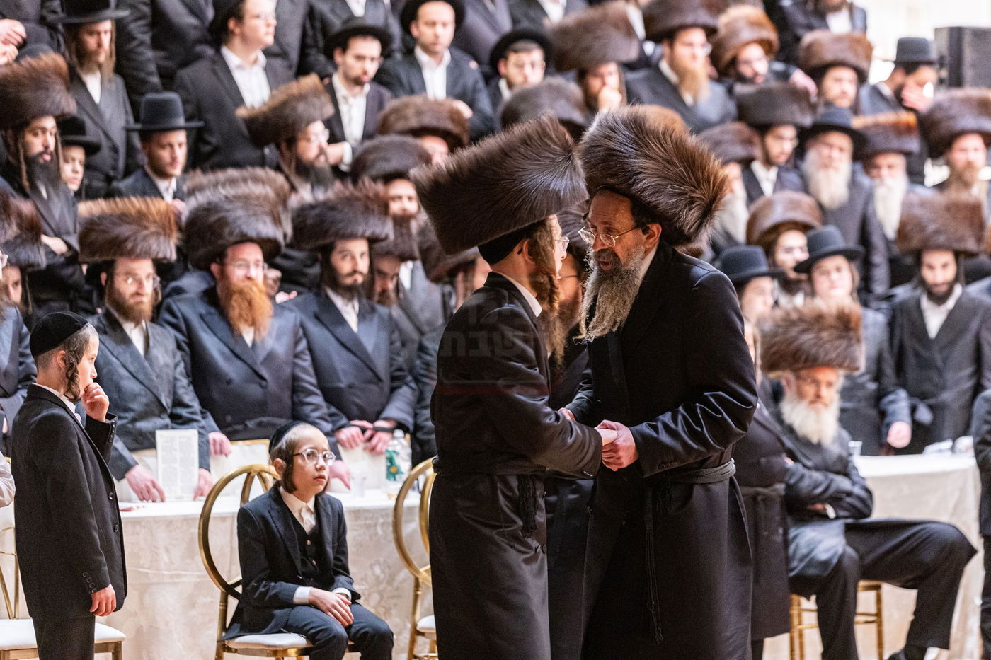 שמחת בית סערדאהעלי - אמונת ישראל - תולדות יהודה סטוטשין - שבט הלוי - גארליץ