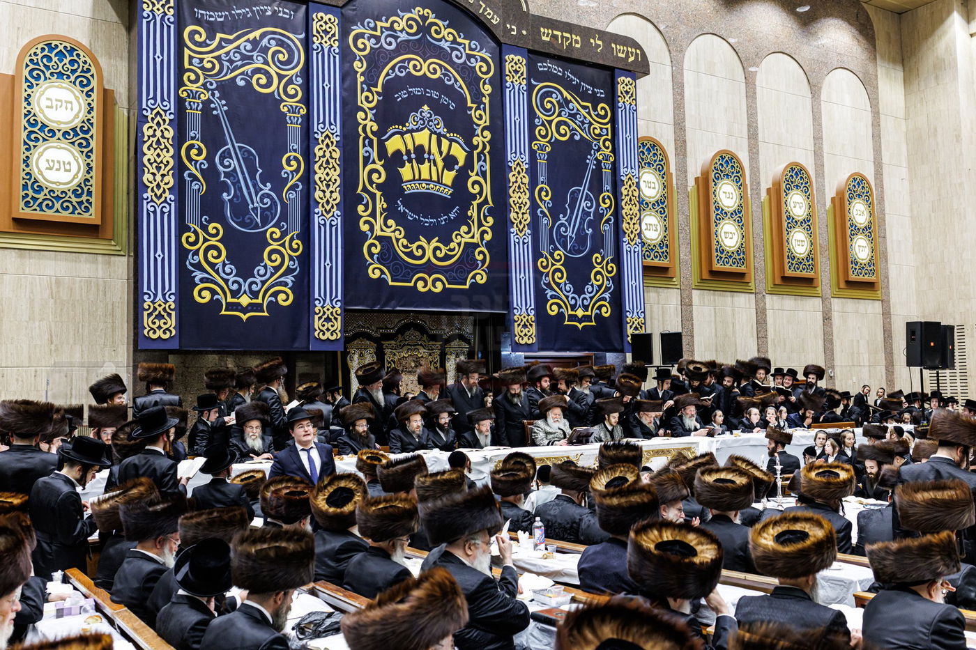 שמחת הפארשפיל לנכד האדמו"ר מבאבוב