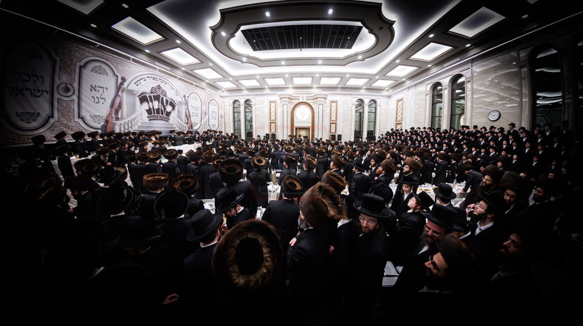 שמחת שבע ברכות לנכדת האדמו"ר מבאבוב