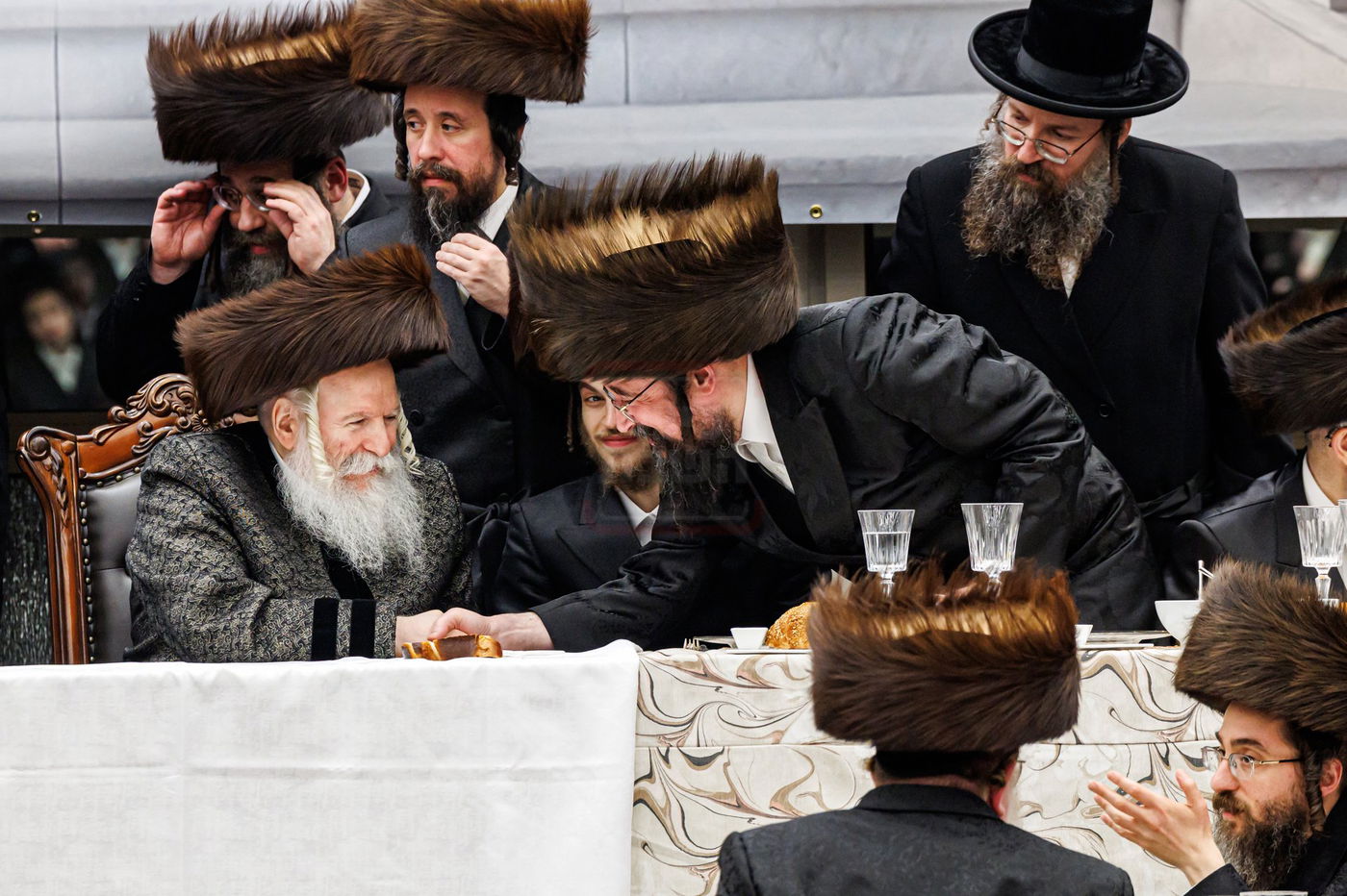 שמחת שבע ברכות לנכדת האדמו"ר מבאבוב