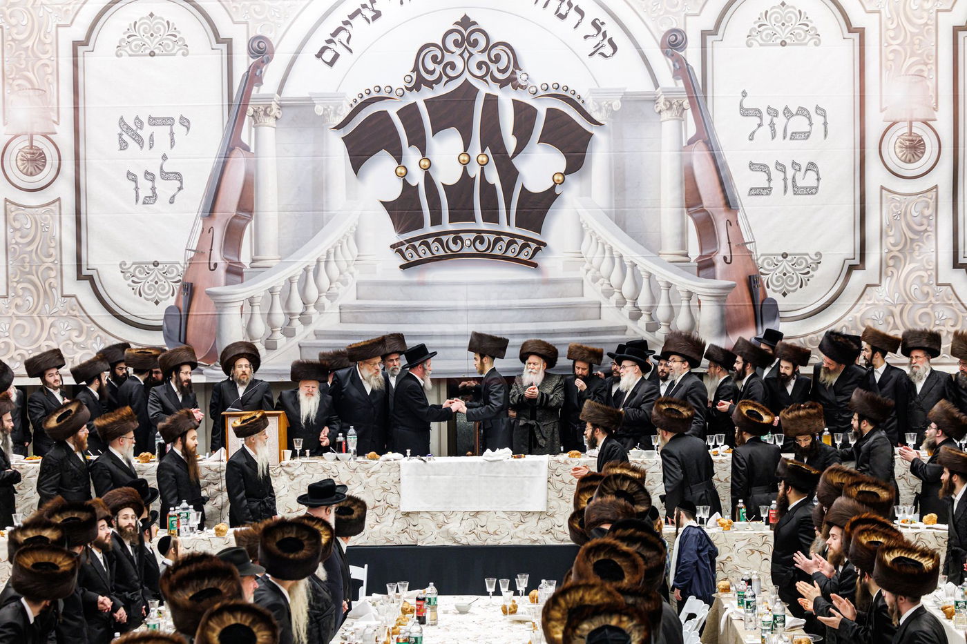 שמחת שבע ברכות לנכדת האדמו"ר מבאבוב