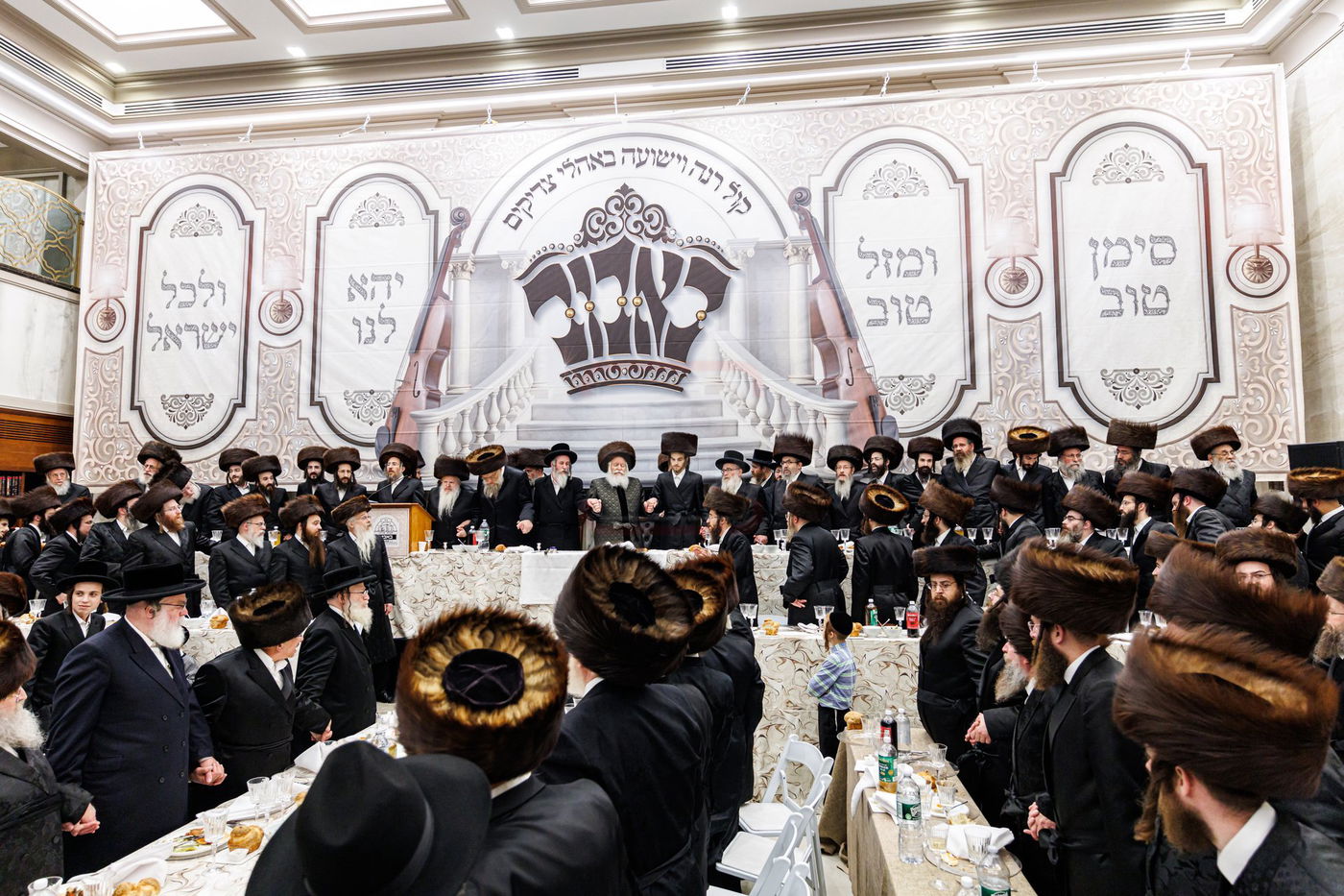 שמחת שבע ברכות לנכדת האדמו"ר מבאבוב