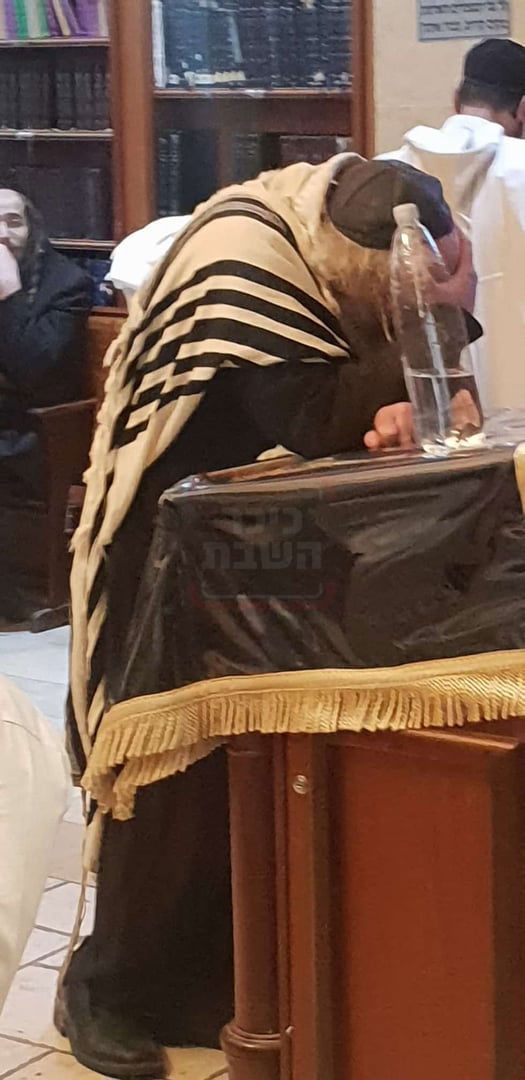 זופניק בכיכר | כל התמונות, הנייעס והחשיפות של המלחמה שאסור לכם לפספס